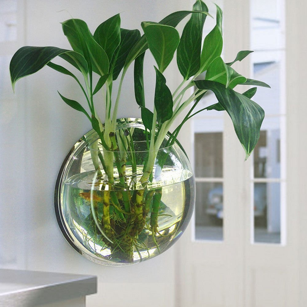 Amazon | EJG 壁掛け水槽 観葉植物 アクアリウム 花瓶、壁掛け水培養